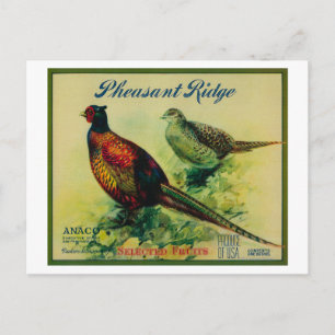 Pheasant Ridge Apple Crate Label Briefkaart