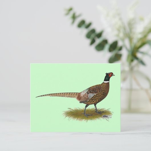 Pheasant Rooster Briefkaart (Staand voorkant)