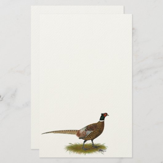 Pheasant Rooster Briefpapier (Voorkant / Achterkant)