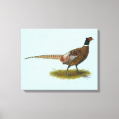 Pheasant Rooster Canvas Afdruk (Voorkant)