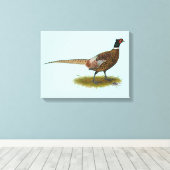 Pheasant Rooster Canvas Afdruk (Insitu (Houten vloer))