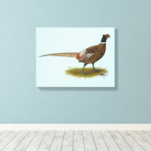Pheasant Rooster Canvas Afdruk (Insitu (Houten vloer))