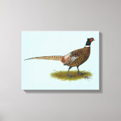 Pheasant Rooster Canvas Afdruk (Voorkant)