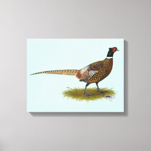 Pheasant Rooster Canvas Afdruk