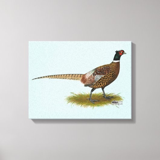 Pheasant Rooster Canvas Afdruk (Voorkant)