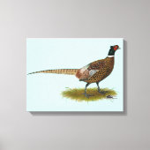 Pheasant Rooster Canvas Afdruk (Voorkant)
