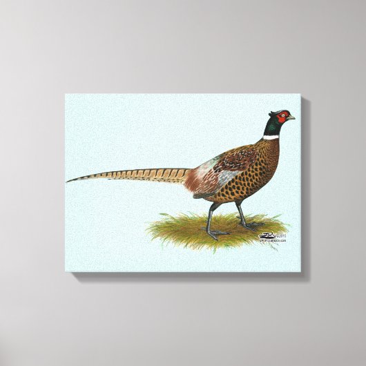Pheasant Rooster Canvas Afdruk (Voorkant)