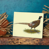 Pheasant Rooster Fotoplaat (Zijkant)