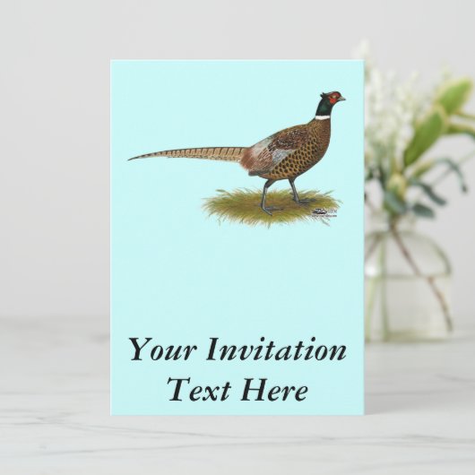 Pheasant Rooster Kaart (Staand voorkant)