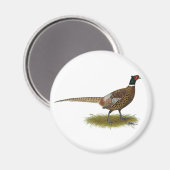 Pheasant Rooster Magneet (Voorkant / Achterkant)