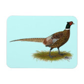Pheasant Rooster Magneet (Horizontaal)
