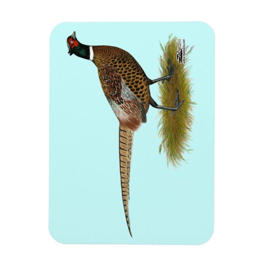 Pheasant Rooster Magneet (Verticaal)