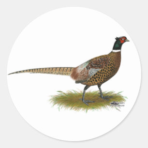 Pheasant Rooster Ronde Sticker