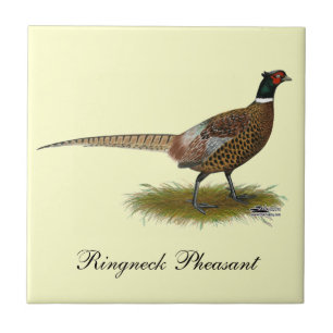 Pheasant Rooster Tegeltje