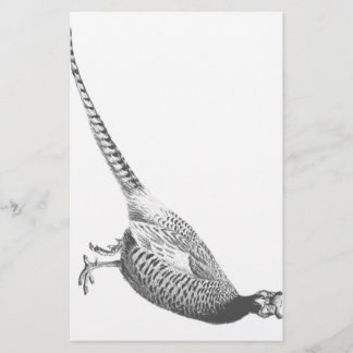 Pheasant Sketch Briefpapier