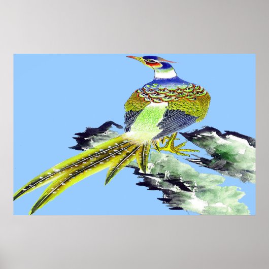 Pheasant Standing poster Drawing 5 (Voorkant)