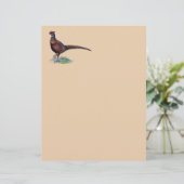 Pheasant Strutt (Staand voorkant)