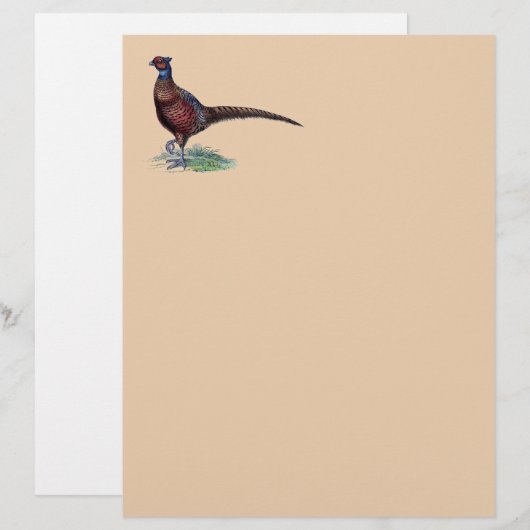 Pheasant Strutt (Voorkant / Achterkant)