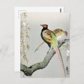 Pheasants and cherry blossom + Ohara Koson - Briefkaart (Voorkant / Achterkant)