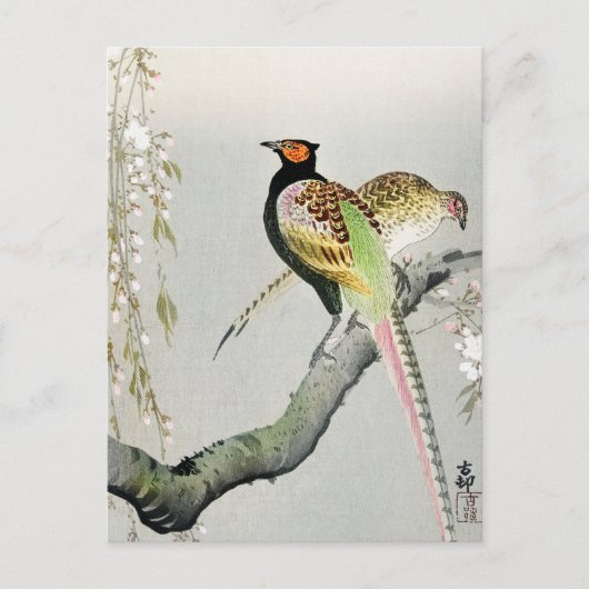 Pheasants and cherry blossom + Ohara Koson - Briefkaart (Voorkant)