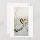 Pheasants and cherry blossom - Ohara Koson - Briefkaart (Voorkant / Achterkant)