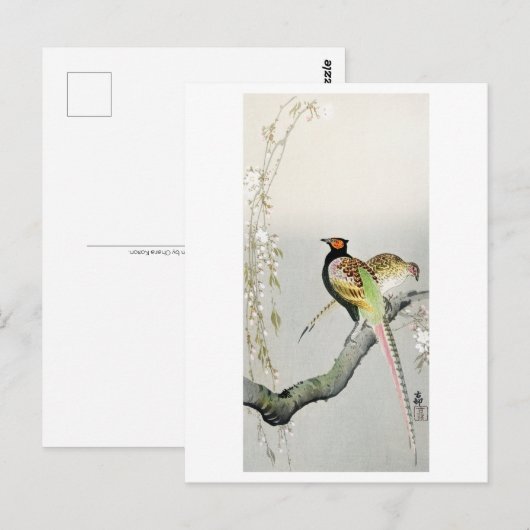 Pheasants and cherry blossom - Ohara Koson - Briefkaart (Voorkant / Achterkant)