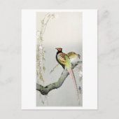 Pheasants and cherry blossom - Ohara Koson - Briefkaart (Voorkant)