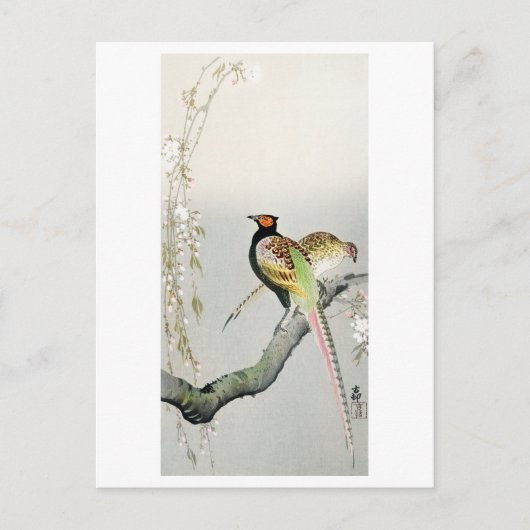 Pheasants and cherry blossom - Ohara Koson - Briefkaart (Voorkant)