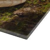 Phellinus igniarius Champignonglas Snijplank (Hoek)