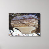Phellinus igniarius Mushroom Canvas Afdrukken (Voorkant)