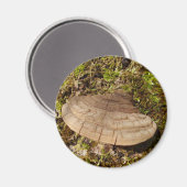 Phellinus igniarius Mushroom Magnet (Voorkant / Achterkant)