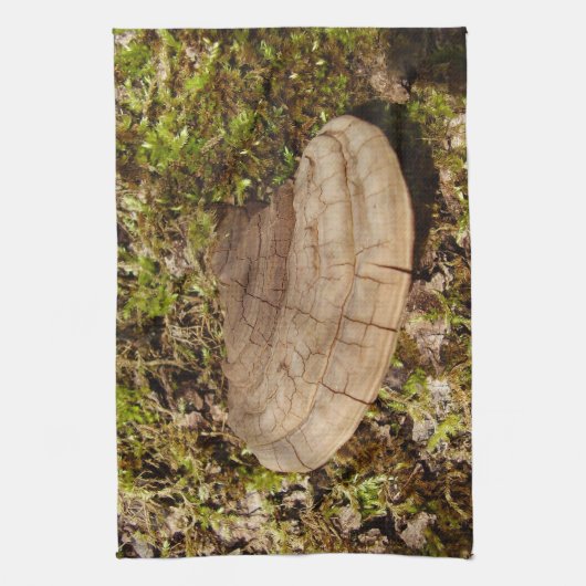 Phellinus igniarius Mushroom Thea Theedoek (Verticaal)