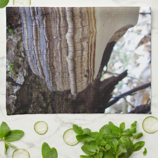 Phellinus igniarius Mushroom Thea Theedoek (Gevouwen)