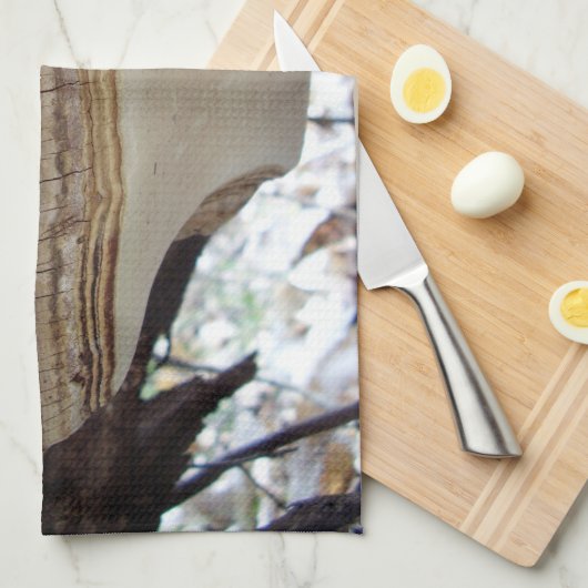 Phellinus igniarius Mushroom Thea Theedoek (Quarter Fold)