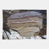 Phellinus igniarius Mushroom Thea Theedoek (Horizontaal)