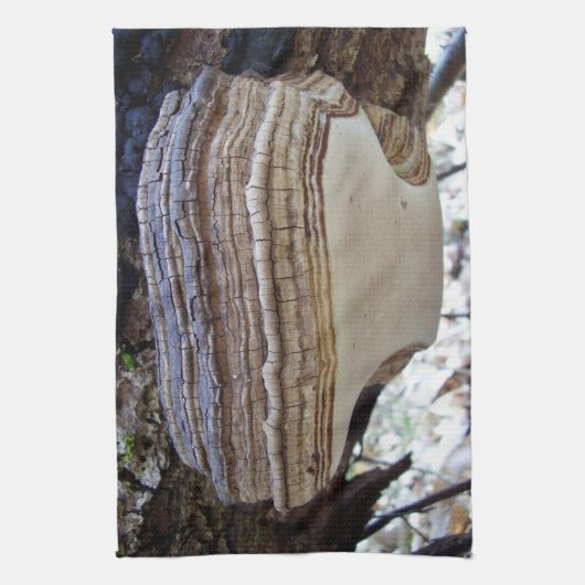 Phellinus igniarius Mushroom Thea Theedoek (Verticaal)