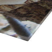 Phellinus igniarius Paddenstoel Glas Hakhouten Sni Snijplank (Hoek)
