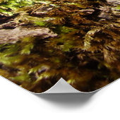 Phellinus igniarius Poster van paddenstoelen (Hoek)