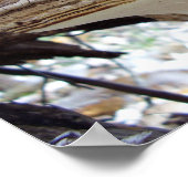 Phellinus igniarius Poster van paddenstoelen (Hoek)