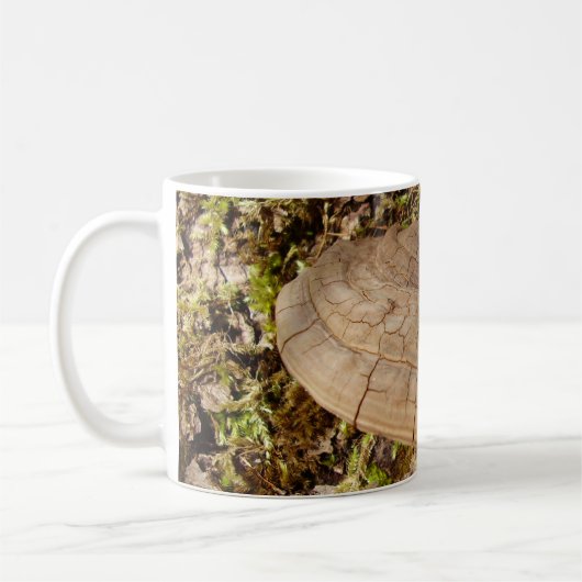 Phellinus igniarius Pushroom Mok (Links)