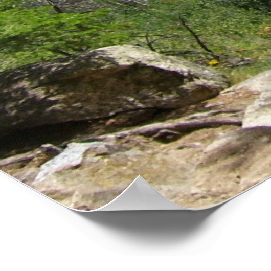 Phelps Lake I in het Grand Teton National Park, Poster (Hoek)