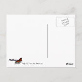 Phelps Lake II in het Grand Teton National Park, Briefkaart (Achterkant)