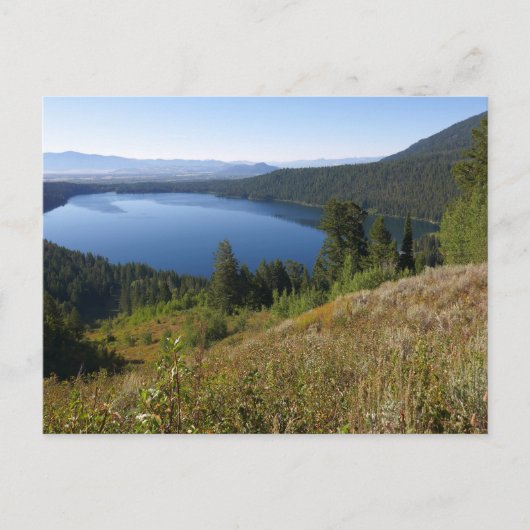 Phelps Lake III at Grand Teton National Park Briefkaart (Voorkant)