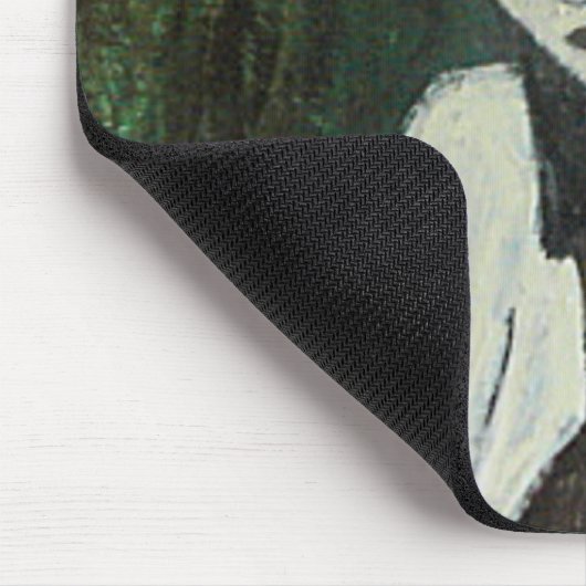 PHENOM PHEN PASSIE MUISMAT (Hoek)