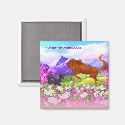 Phenomena Spring Magnet (Voorkant / Achterkant)