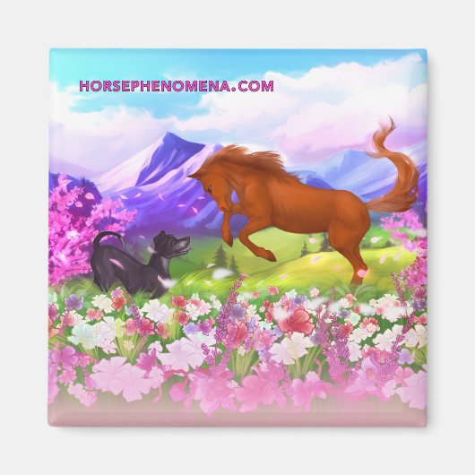 Phenomena Spring Magnet (Voorkant)