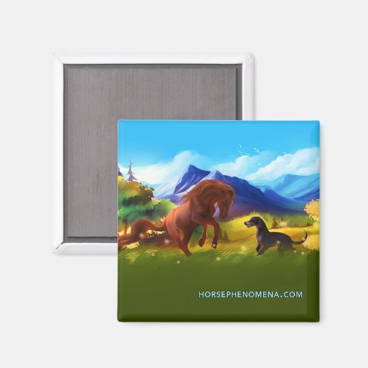 Phenomena Summer Magnet (Voorkant / Achterkant)