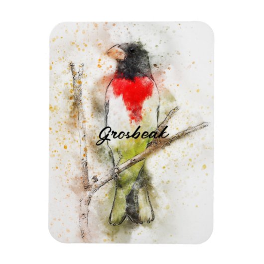 Pheucticus ludovicianus (Großbeak met roos) Magneet (Verticaal)