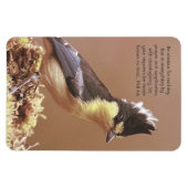 "Phil 4:6" Verdediging van het angstgevoelens Magneet (Horizontaal)