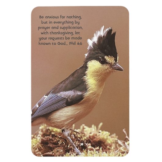 "Phil 4:6" Verdediging van het angstgevoelens Magneet (Verticaal)